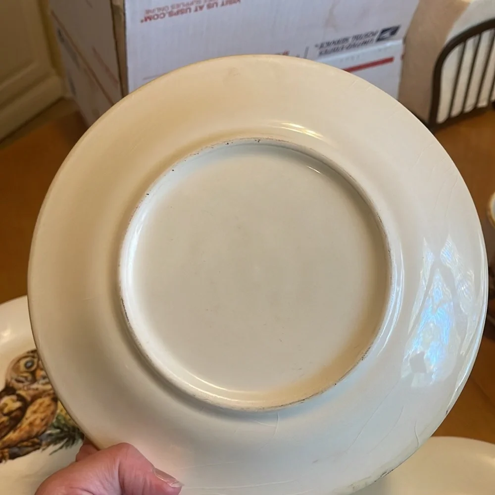 Vintage style owl salad plates and mugs